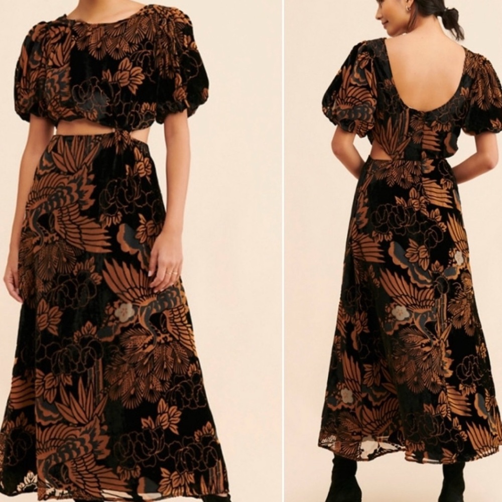 Anthropologie Floral Velvet Dress in Bronze & Black